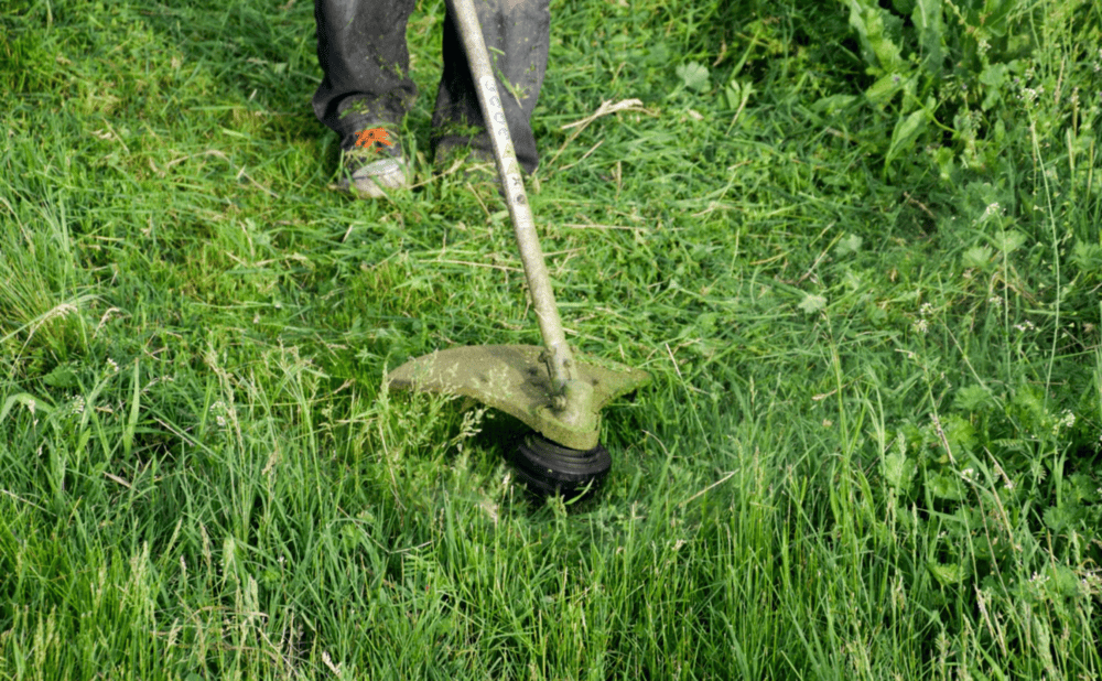 Garden Clean Ups