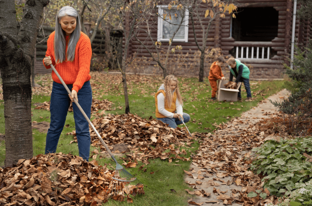 Green-Waste removal