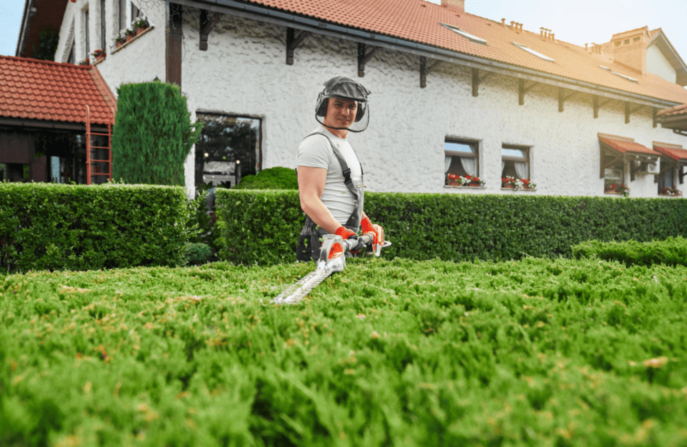 Hedge & Tree Trimming