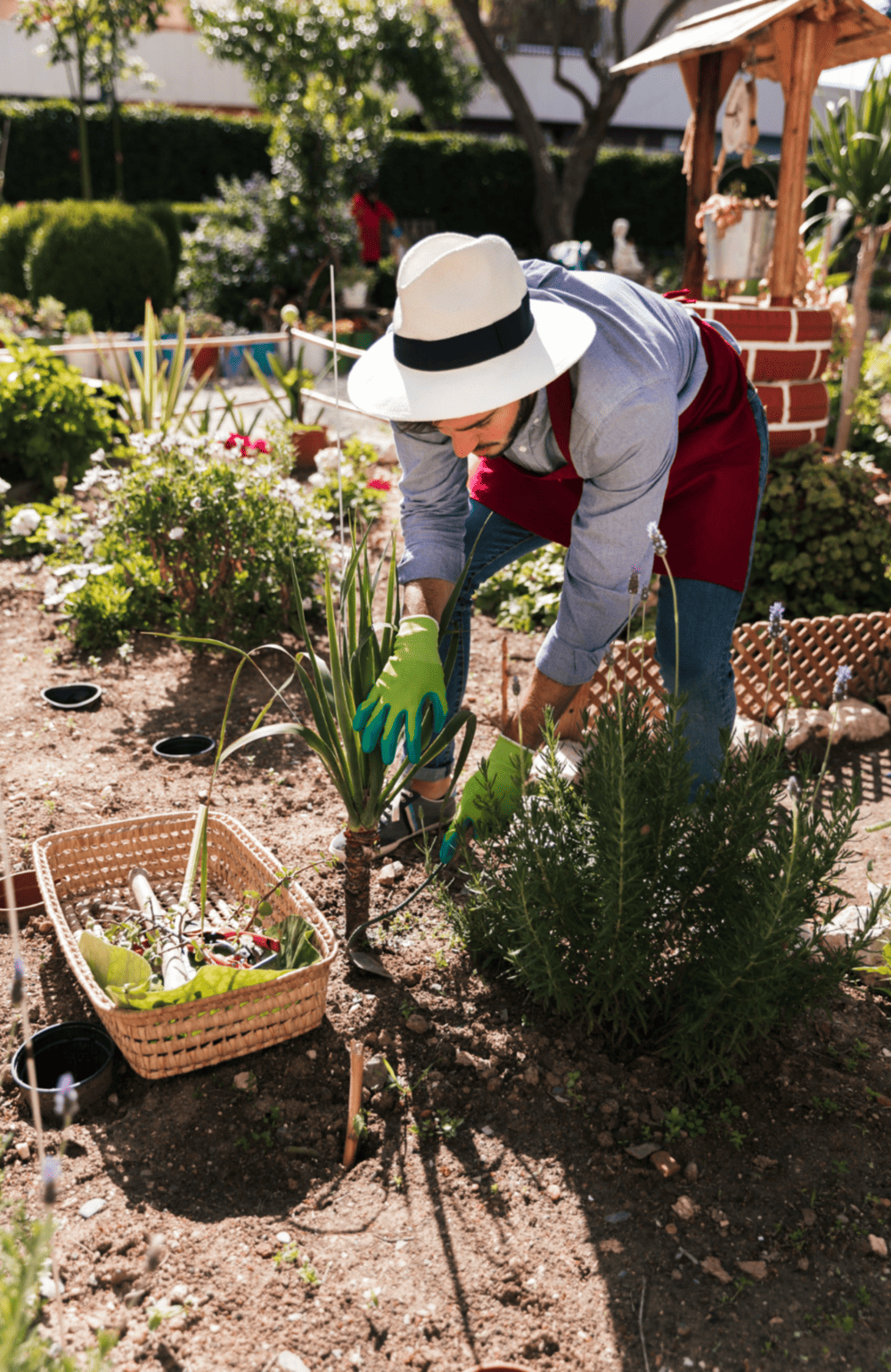 Seasonal Garden work